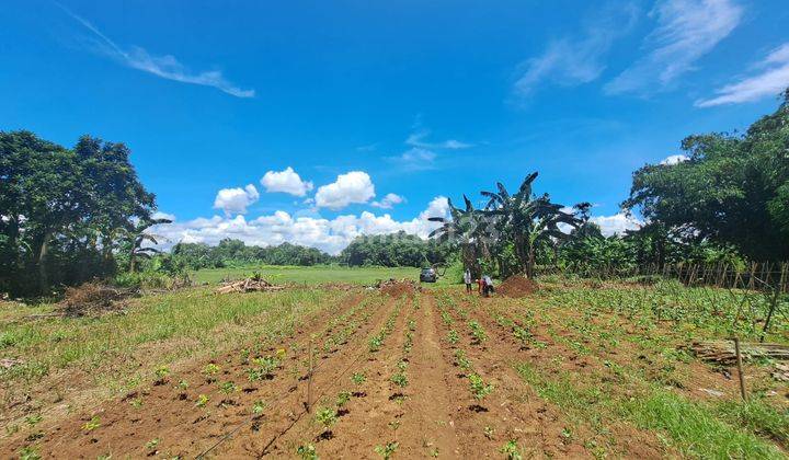 Tanah Terima SHM 1 Jutaan, Dekat Cimory Dairy Land Bsd 1