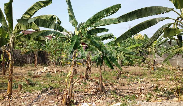 Tanah Terima SHM Cinangka, 10 Menit Terminal Pondok Cabe 1