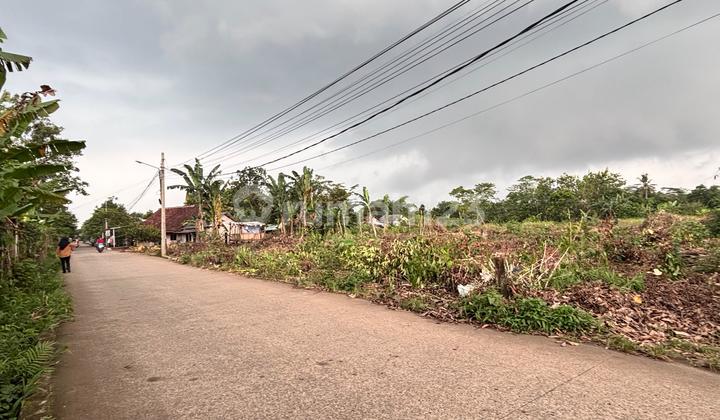 Tanah Cisauk SHM 1Jtan/M - Dekat Stasiun Jatake - Cocok Hunian/Investasi Tanah Cisauk SHM 1Jtan/M - Dekat Stasiun Jatake - Cocok Hunian/Investasi