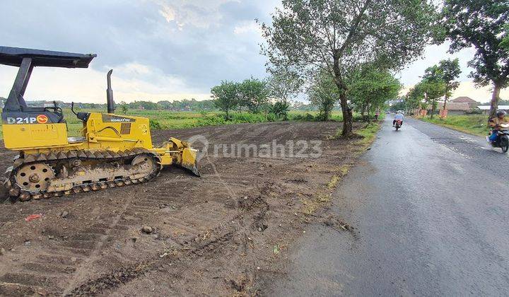 11 Menit Tol Legok, Tanah Murah Cisauk Free SHM 1