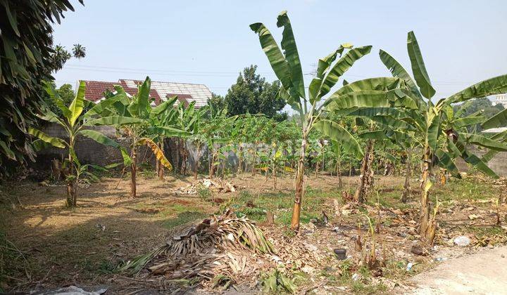 Tanah Cinangka Cocok Hunian, 15 Menit Tol Limo 2