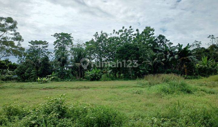 Tanah Murah 100 Juaan Cisauk, 8 Mneit Stasiun Jatake Bsd 1