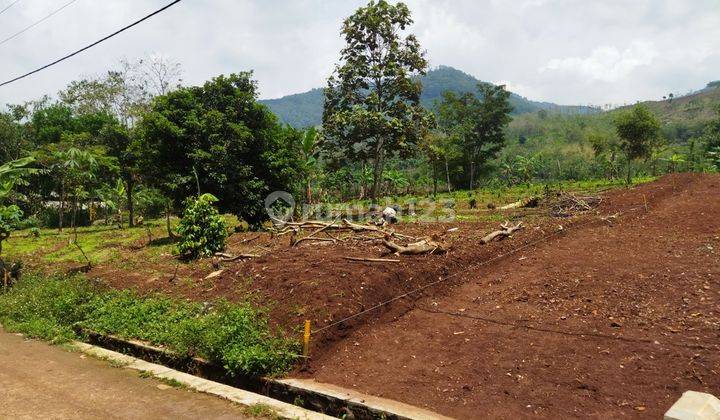 5 Menit Stasiun Daru, Tanah Murah Legalitas SHM