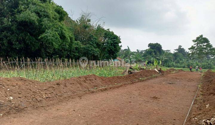 Tanah Murah Dekat Cimory Bsd Lokasi Strategis Jutaan Rumah