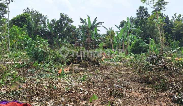 10 Menit Stasiun Baru Jatake - Tanah Cisauk Pinggir Jalan 1Jtan/M - bisa Cicil Tanpa Bunga 10 Menit Stasiun Baru Jatake - Tanah Cisauk Pinggir Jalan 1Jtan/M - bisa Cicil Tanpa Bunga