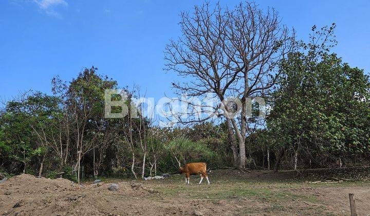 PLOT OF LAND AT PERING BEACH 2