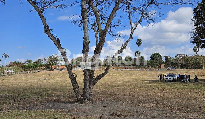 TANAH KAVLING DI PANTAI PERING 1