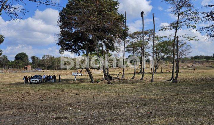 TANAH VIEW PANTAI DI PANTAI PERING 2