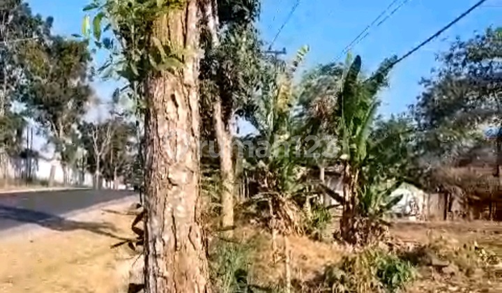 FOR SALE land for Factory or Warehouse in Deandels Gresik FOR SALE land for Factory or Warehouse in Deandels Gresik