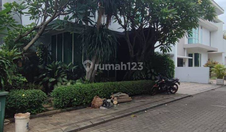 For Rent Rumah Mewah Di Kemang Jakarta Selatan  2