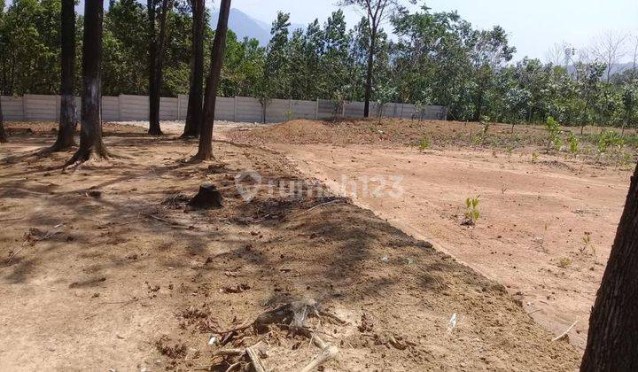 Dijual Tanah Kavling Wisata Villa Di Desa Sukajaya Jonggol Bogor 1