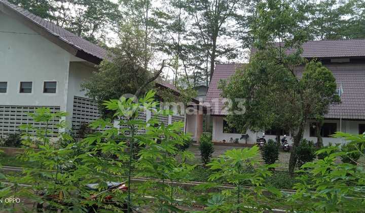 Wood Factory, Strategically Located In Batang Regency, Central Java