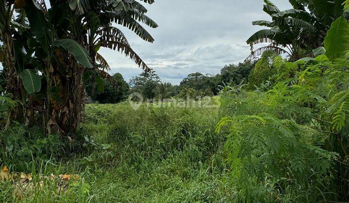 Tanah Cocok Untuk Bisnis Dan Komersil di Depok 2