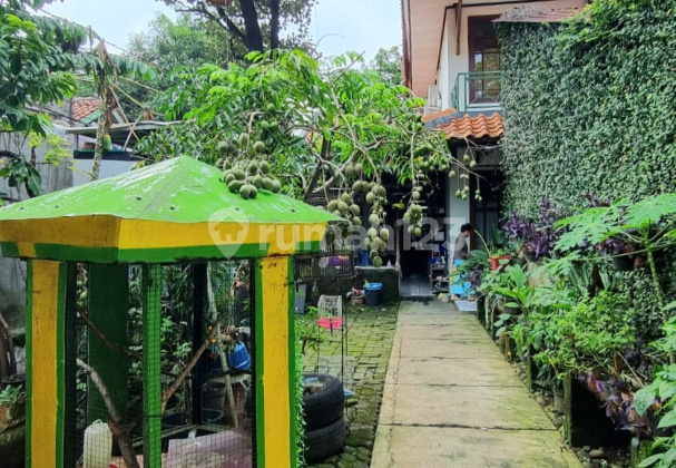 Rumah Lama Dijual di Pondok Labu Jakarta Selatan Rumah Lama Dijual di Pondok Labu Jakarta Selatan