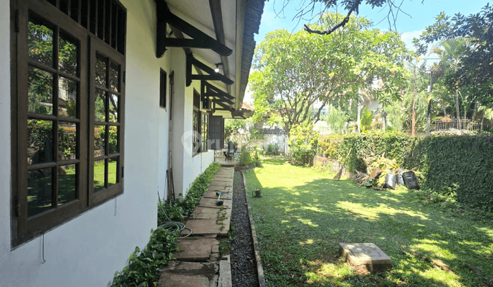 Rumah Kebun Satu Lantai di Cilandak, Jakarta Selatan 2