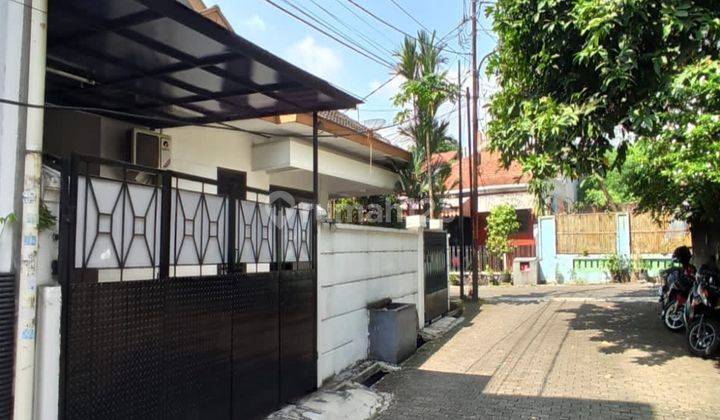 Rumah Siap Huni Murah Cilandak Belakang Citos 1