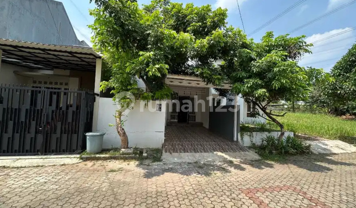 Rumah Siap Huni Murah Dalam Komplek Cinere