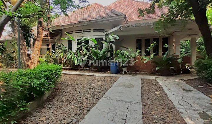 Rumah Tua Hitung Tanah, Hook Lokasi Bagus Jalan Lebar di Menteng 1