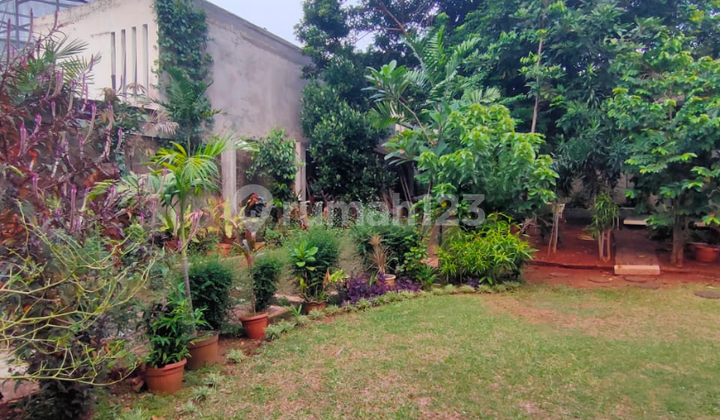 Tanah Kotak Di Pejaten Barat Jakarta Selatan