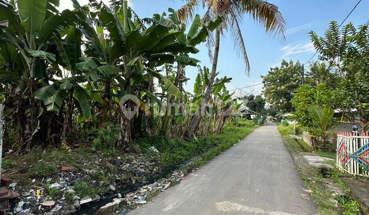 Tanah Kavling Cocok untuk Rumah Usaha Dekat Perumahan Besar Tanah Kavling Cocok untuk Rumah Usaha Dekat Perumahan Besar