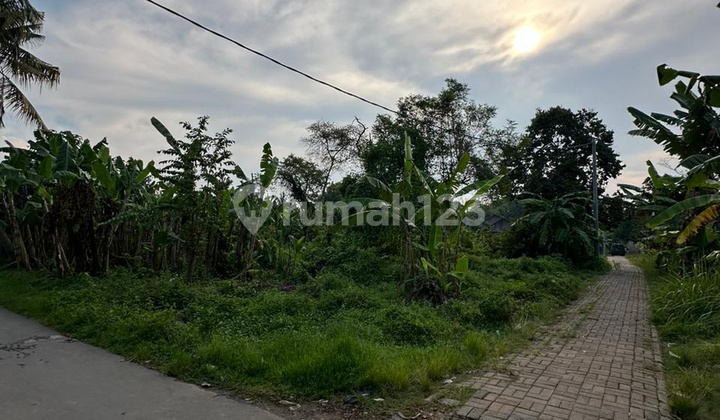 Land Plot Suitable for Business House Near Large Housing Complex Land Plot Suitable for Business House Near Large Housing Complex