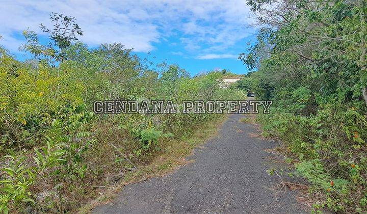 Super Rare 1 Acre Plot of Land in Goa Gong 2