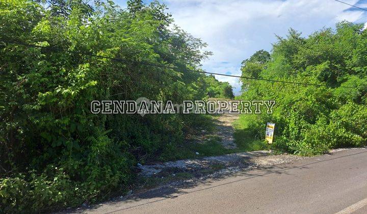 Small Plot Land With View in Goa Gong 2