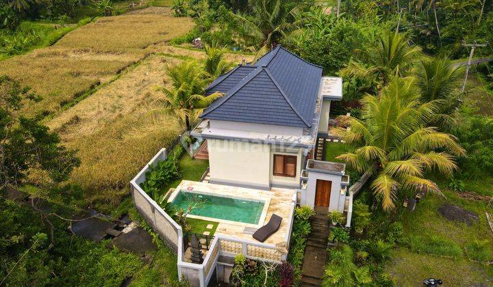 Modern Villa For Leasehold & Freehold In Ubud 2