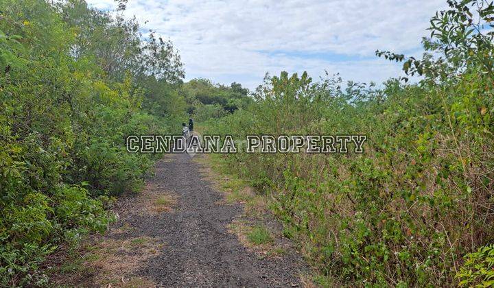 Super Rare 1 Acre Plot of Land in Goa Gong 1