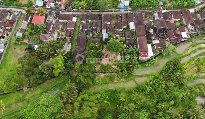 land with jungle view in payangan ubud 1