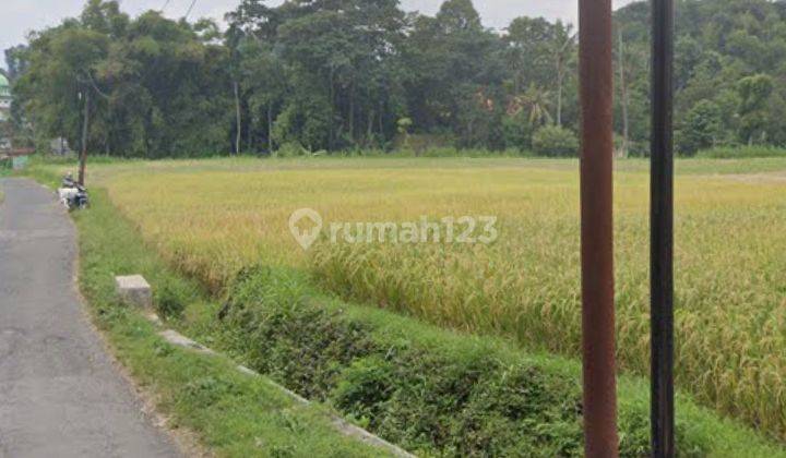 Dijual Sebudang Tanah Komersial di Sukorejo Pasuruan 1