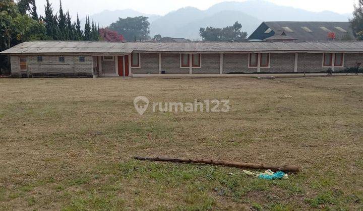 tanah komersial di depan kantor desa tumbak bayuh pererenan  2