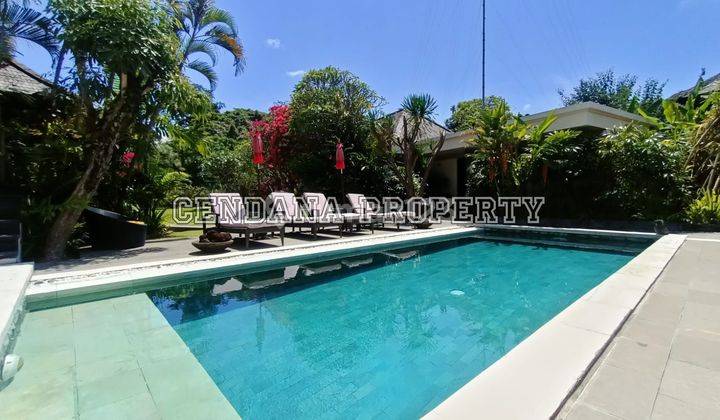 Beautiful Villa With Big Wonderful Garden Sanur 1