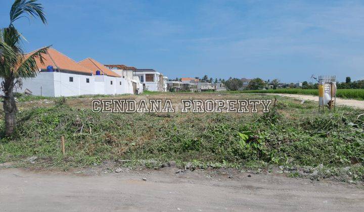 Tanah Luas View Sawah di Daerah Pantai Seseh 2