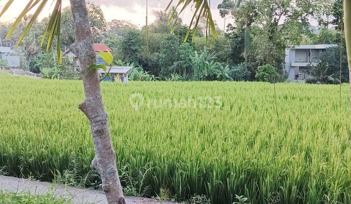 Tanah Strategis Dengan View Sawah Dan Sungai  1