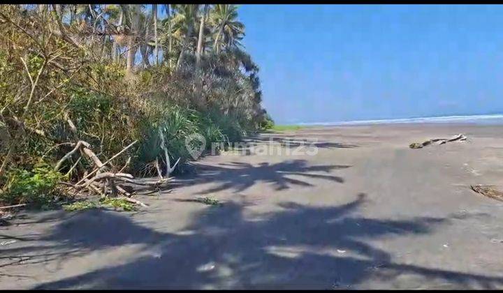 Land for sale direct to the beach in Pekutan Jembrana Bali 1