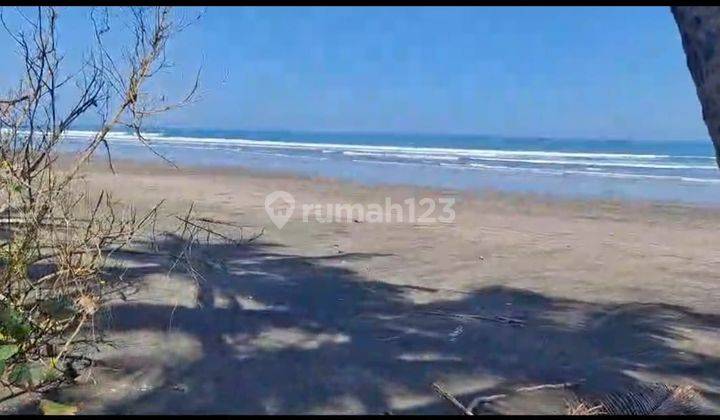 Land for sale direct to the beach in Pekutan Jembrana Bali 2