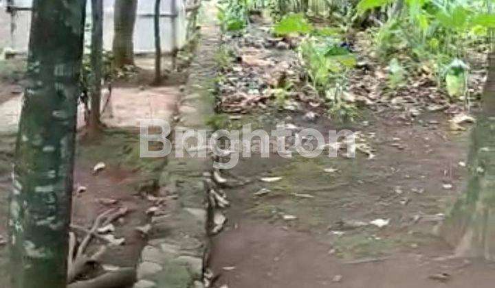 TANAH STRATEGIS DI GANDOANG DEKAT TAMAN MEKARSARI CILEUNGSI BOGOR 2