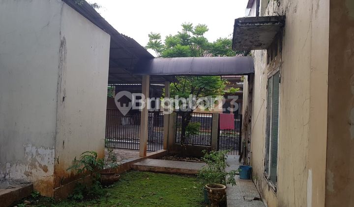 Rumah Tua Luas 280 M2 Hitung Harga Tanah di Komplek PT Timah Cilandak Jakarta Selatan Rumah Tua Luas 280 M2 Hitung Harga Tanah di Komplek PT Timah Cilandak Jakarta Selatan