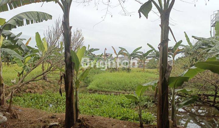 Kavling siap Bangun dan dekat lokasi gudang dan pabrik di Narogong 1