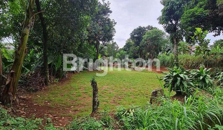 Cuma 1,5 Juta/m Tanah Lokasi Strategis, Cocok untuk Bangun Cluster 1