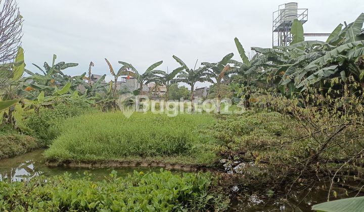 Want to Build a Factory or Warehouse with 3,535 m² of Land in Narogong?