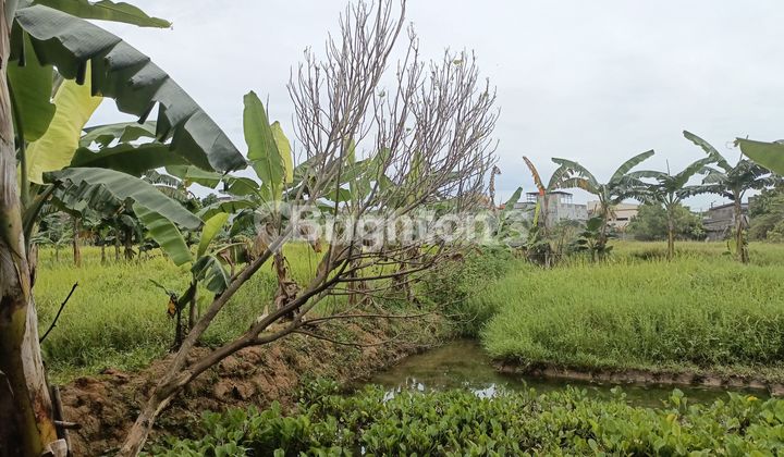 Tanah Datar bisa bangun Pabrik atau Gudang di LT 5800 m di Narogong 