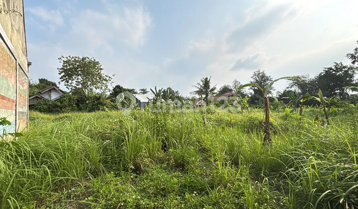Jual Cepat Kavling Luas 5000m² Shm Balaraja Bisa Utk Rss Utk Investor Jual Cepat Kavling Luas 5000m² Shm Balaraja Bisa Utk Rss Utk Investor