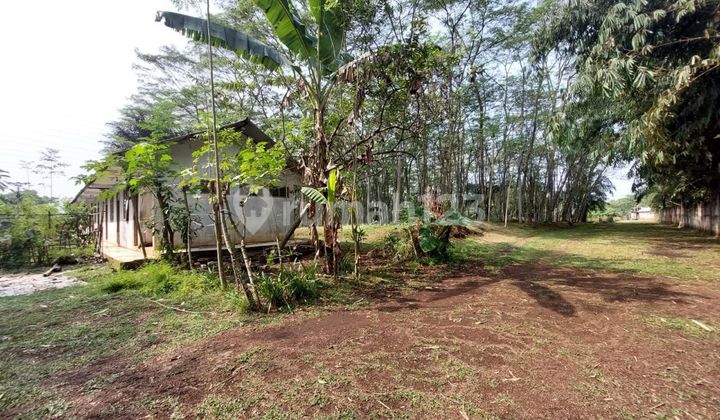 Dijual Tanah Cocok Untk Perumahan Luas 2.5 Ha SHM , Cikupa Dijual Tanah Cocok Untk Perumahan Luas 2.5 Ha SHM , Cikupa