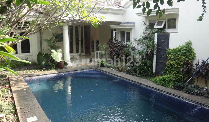 Disewakan Rumah Mewah dan Kolam renang uk 350m2 di Ciilandak 