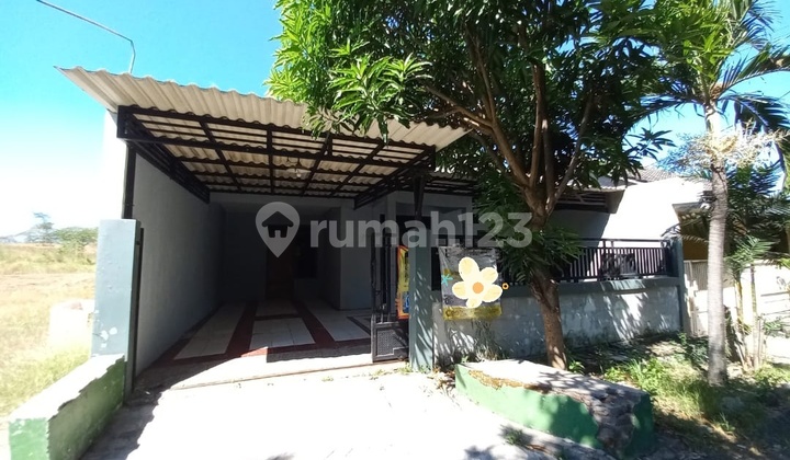 Ready-to-Live House in New City Driyorejo Gresik Ready-to-Live House in New City Driyorejo Gresik