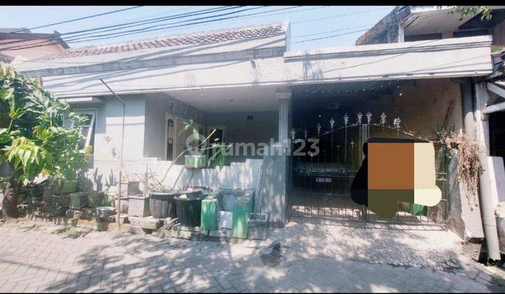 Rumah Siap Huni 1 Lantai di Rewin Waru Sidoarjo  1