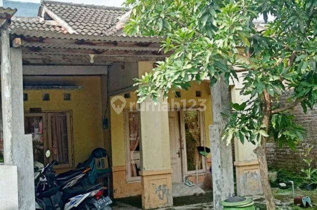 Rumah di Perum Graha Mutiara Driyorejo Gresik 1