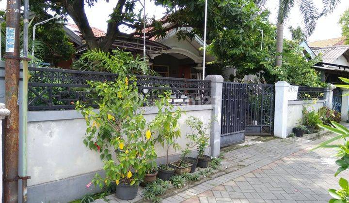 Rumah 1 Lantai Siap Huni di Petemon Sawahan Surabaya Barat 1